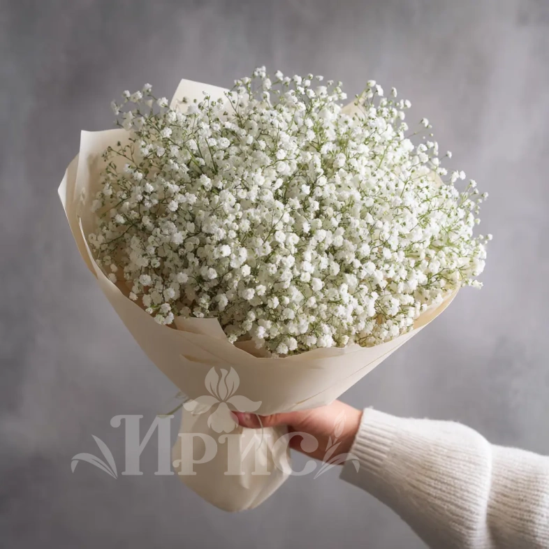 Монобукет из белой гипсофилы