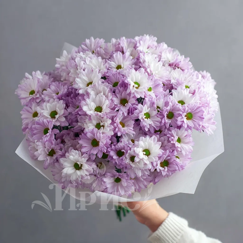 Монобукет из хризантем &laquo;Нежный комплимент&raquo;